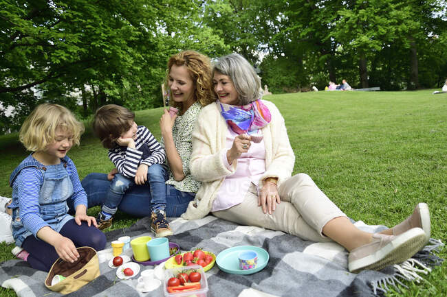 Happy three generation family enjoying picnic at public park — Stock Photo