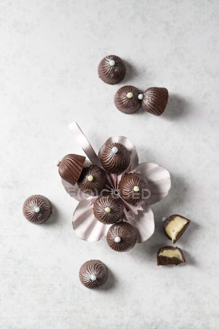 Chocolate pralines with vanilla ganache — Stock Photo