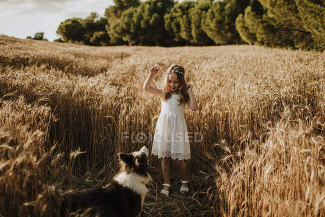 Menina se divertindo com Border Collie cão no campo de trigo — Fotografia de Stock
