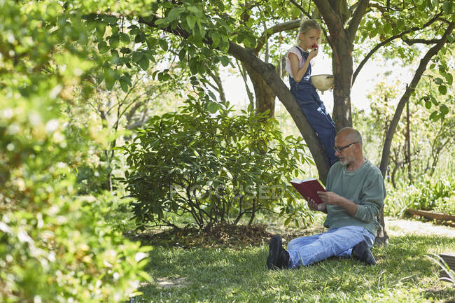 Расслабленный дедушка и внучка в саду читают книгу и едят клубнику — стоковое фото