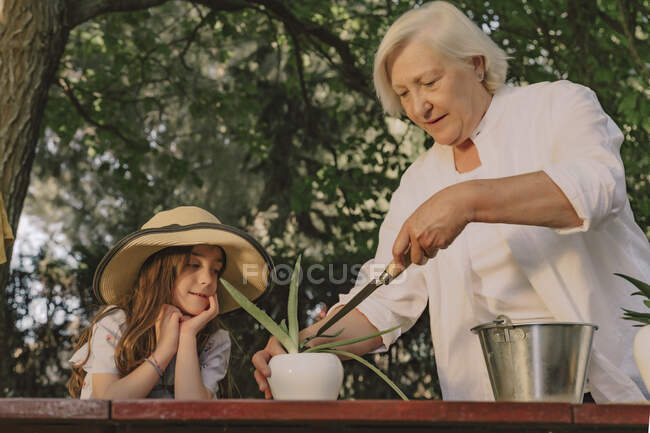 Nonna piantare sul tavolo mentre in piedi con la nipote in cortile — Foto stock