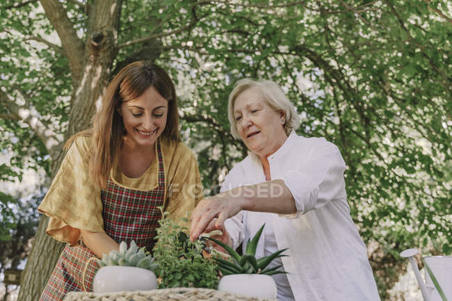 Lächelnde Tochter mit Mutter beim Pflanzen gegen Bäume im Hof — Stockfoto