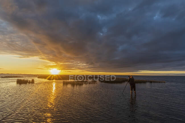 Новая Зеландия, район Тасман, Пупонга, вид сзади женщины, фотографирующей облачный восход солнца над Золотым заливом — стоковое фото
