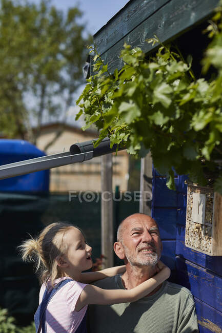Nonno e nipote ispezionare ape hotel nel giardino di assegnazione — Foto stock