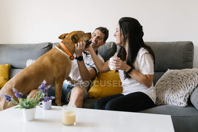 Coppia coccole con cane seduto sul divano di casa — Foto stock