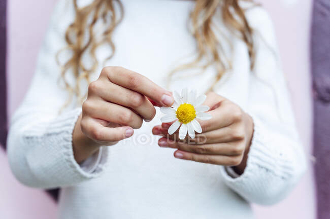Midsection de menina segurando fresco flor margarida branca durante a primavera — Fotografia de Stock