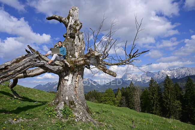 Mulher madura sentada com laptop na árvore morta contra o céu durante o dia ensolarado — Fotografia de Stock