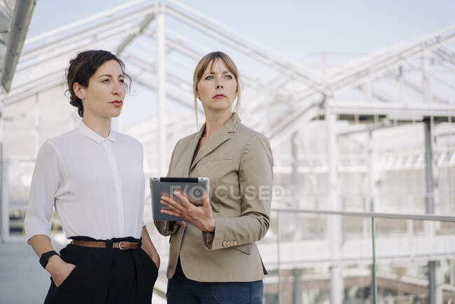 Deux femmes d'affaires avec tablette ayant une réunion dans une serre — Photo de stock