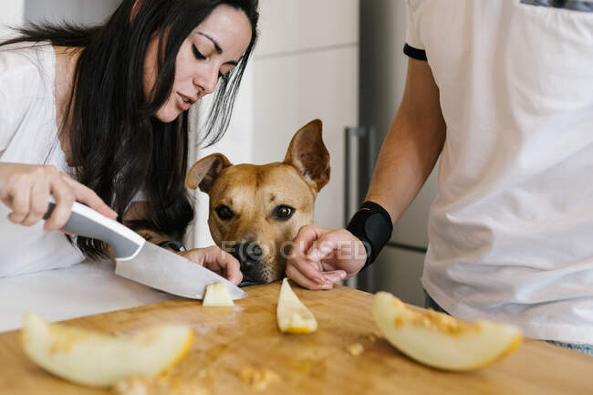 Mulher cortando frutas na tábua de corte perto de cão e homem na cozinha — Fotografia de Stock