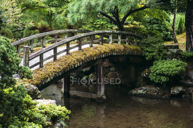 Japan, Kyoto, Fußgängerbrücke über Teich im japanischen Garten — Stockfoto