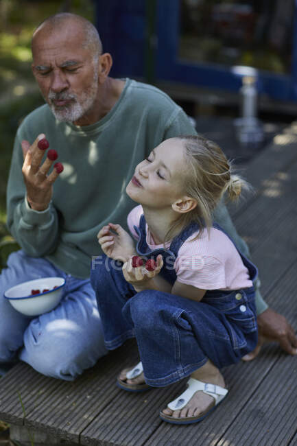 Дідусь з внучкою їдять малину на терасі в саду. — стокове фото