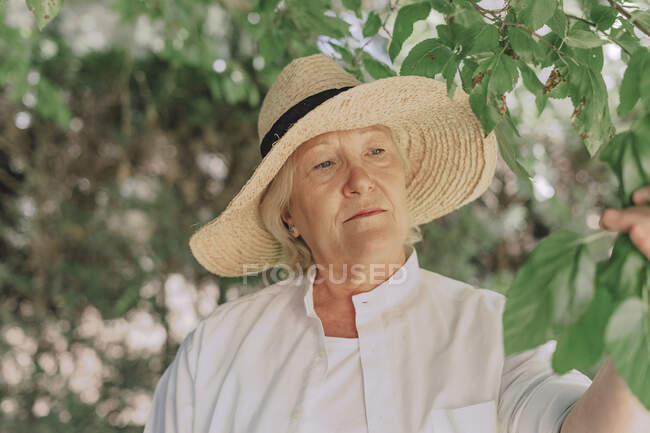 Close-up of senior woman wearing hat looking at plant in yard — Stock Photo