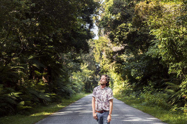 Thoughtful young man looking up while standing on road amidst trees in forest — Stock Photo