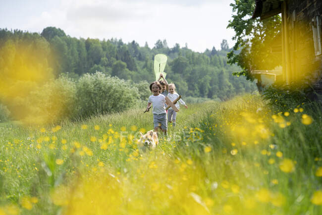 Crianças despreocupadas com o cão correndo na paisagem gramada na floresta — Fotografia de Stock