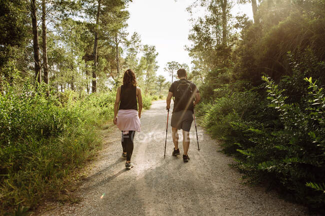 Vue arrière de la randonnée en couple dans les bois — Photo de stock