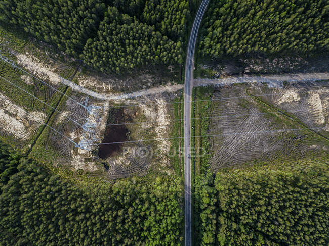 Rusia, Óblast de Leningrado, Tikhvin, Vista aérea de los pilones eléctricos en medio de la zona deforestada - foto de stock