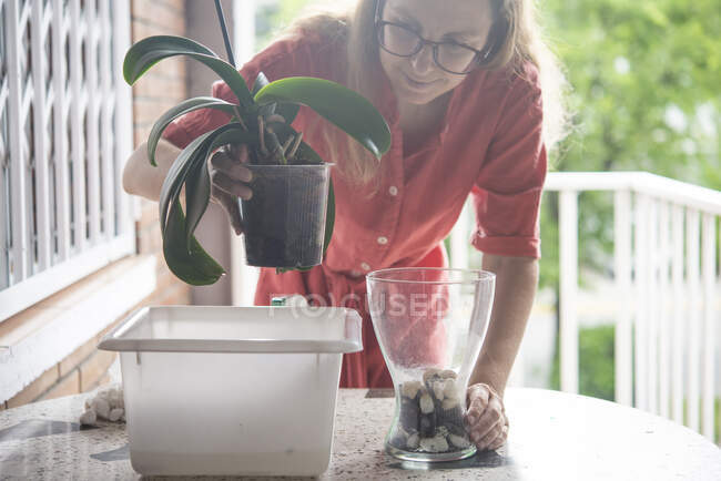 Mitte erwachsene Frau pflanzt Orchideenpflanze im Topf auf Tisch — Stockfoto
