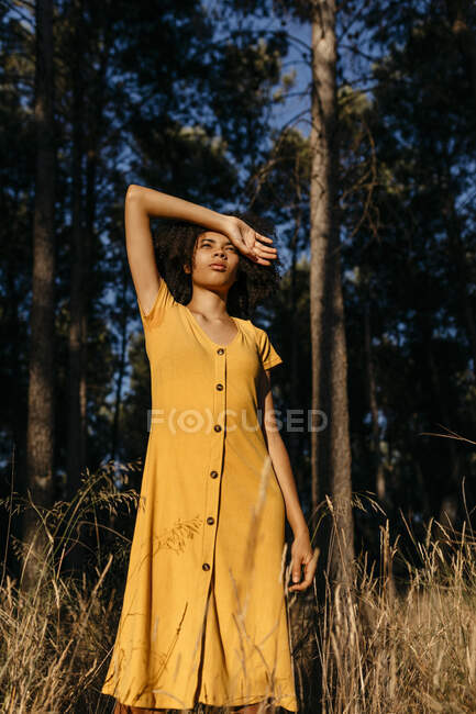 Mujer joven mirando hacia otro lado mientras está de pie contra los árboles en el bosque - foto de stock