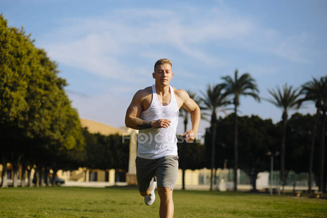 Atleta masculino corriendo contra el cielo en el parque durante el día soleado - foto de stock