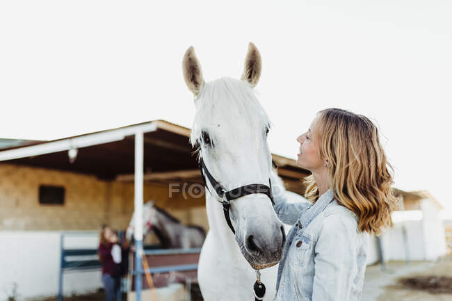Woman stroking a horse on a farm — Foto stock