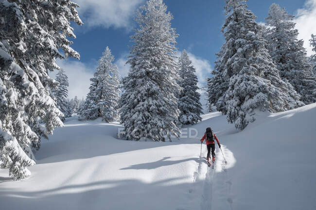 Senior man during ski tour, Inzell, Kienberg, Alemania - foto de stock