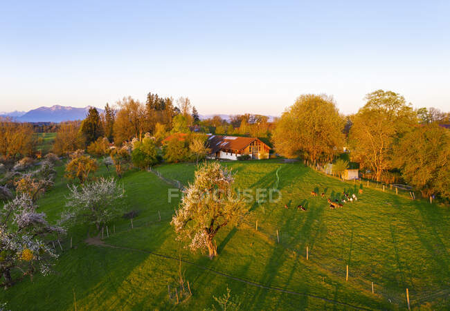 Німеччина, Баварія, Konigsdorf, Drone view of Mooseurach orgarard at spring awn — стокове фото