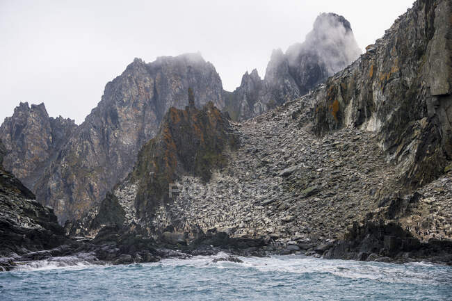 Rugged coastline of Elephant Island — Stock Photo