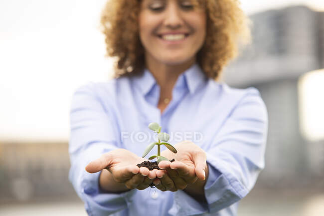 Close-up of female entrepreneur with curly hair holding small plant - foto de stock