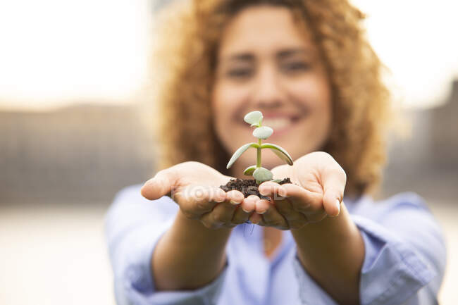 Close-up of female entrepreneur with curly hair holding sapling - foto de stock