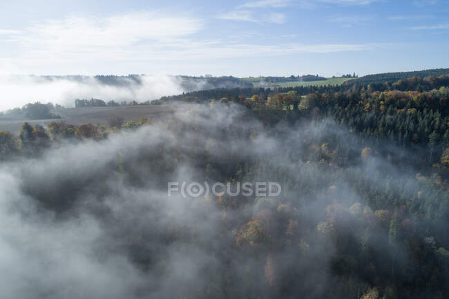 Deutschland, Baden-Württemberg, Drohnen-Ansicht des Herbstwaldes im Morgennebel — Stockfoto