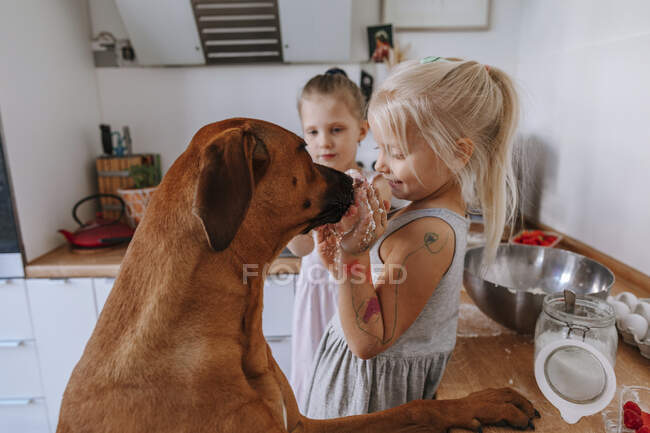 Дівчата з брудними руками бавляться з собакою на кухні. — стокове фото