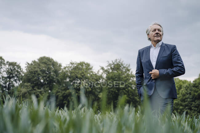 Confident senior businessman on a field in the countryside — Stock Photo