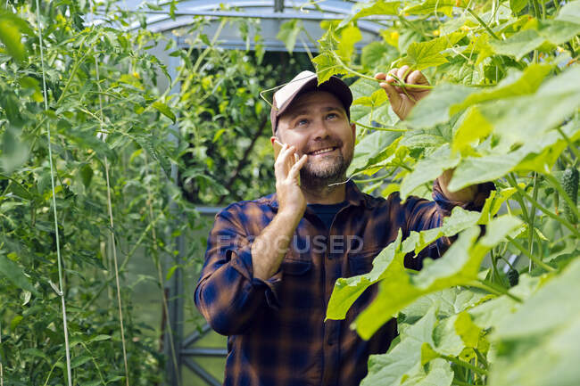 Портрет улыбающегося фермера по телефону в теплице — стоковое фото