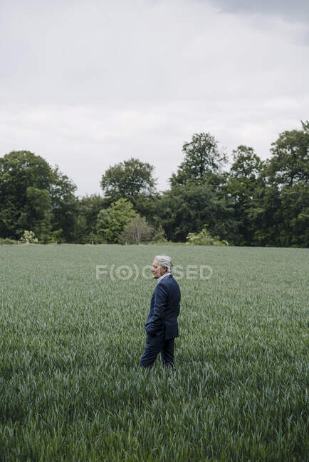 Старший бизнесмен на поле в сельской местности — стоковое фото