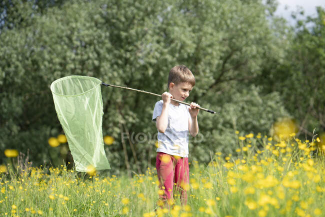 Милий хлопчик ловить метеликів сітями, стоячи серед лісових рослин. — стокове фото
