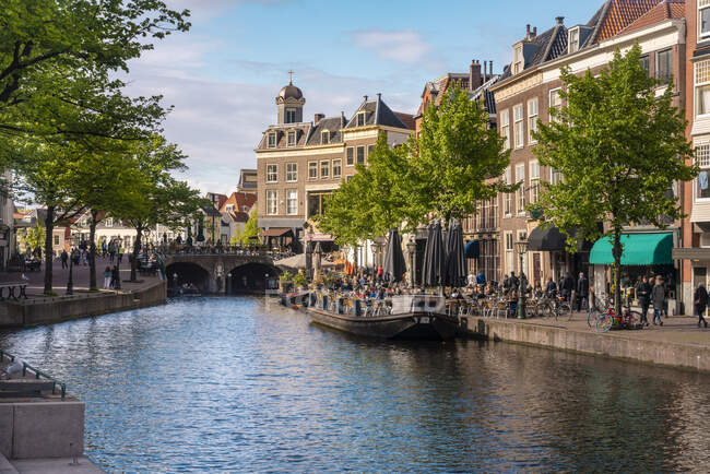 Paesi Bassi, Olanda meridionale, Leida, Nieuwe Rjin canale fluviale — Foto stock