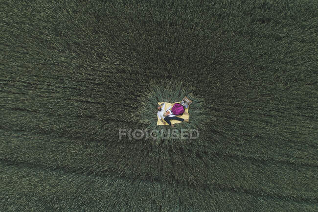 Дронний знімок пари, що розслабляється на ковдрі серед зеленого кукурудзяного поля — стокове фото