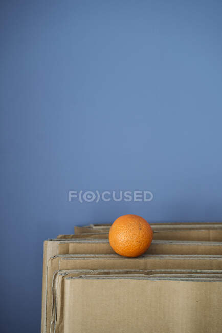 Single orange on cardboard against blue wall — Stock Photo