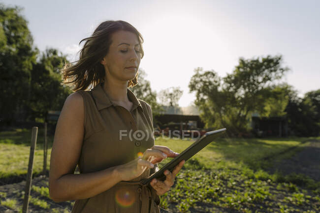 Young woman using tablet on a farm in the countryside — Stock Photo
