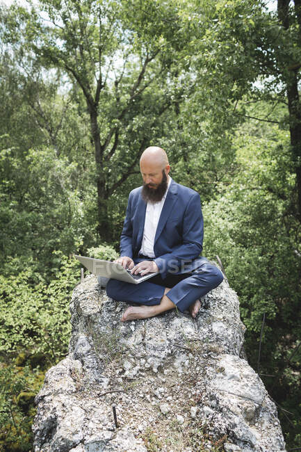 Homem de negócios barbudo careca trabalhando sobre laptop enquanto sentado na rocha contra árvores na floresta — Fotografia de Stock