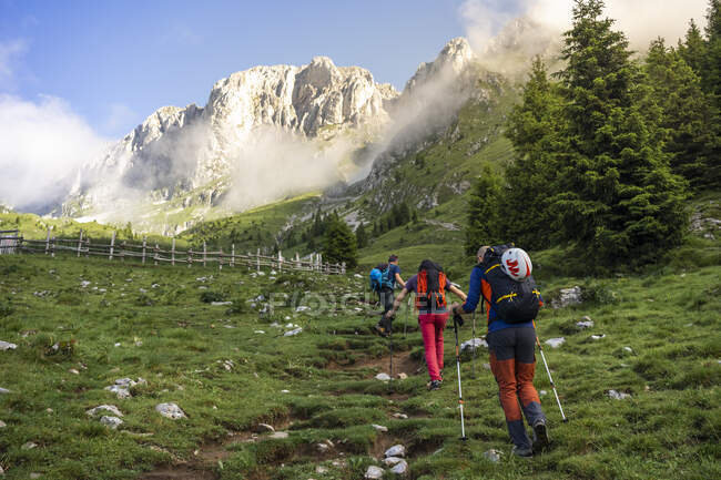 Mature male hikers walking on grassy mountain, Bergamasque Alps, Italy — Stock Photo