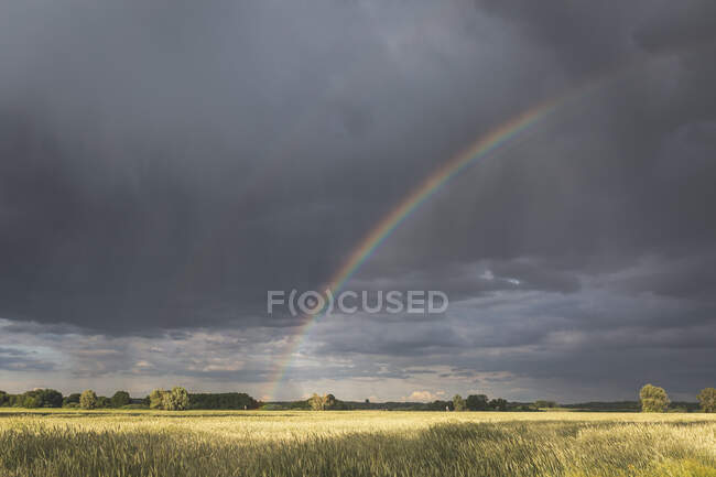 Vista panoramica dell'arcobaleno sul paesaggio contro il cielo nuvoloso — Foto stock
