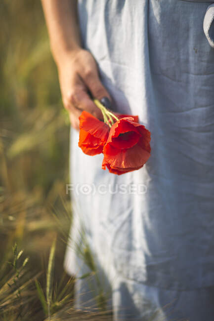 Jovem mulher segurando flor de papoula enquanto está em pé no campo agrícola — Fotografia de Stock