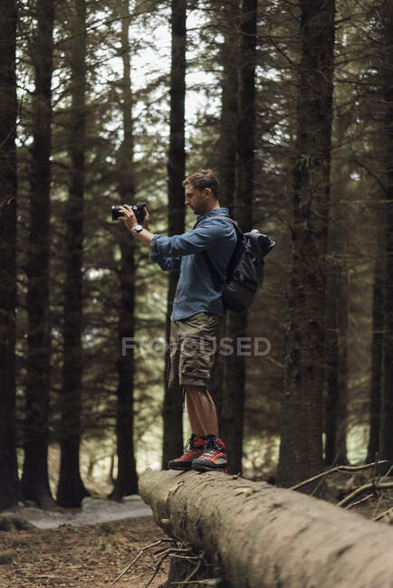 Мужчина-турист фотографирует с камерой, стоя на бревне в лесу — стоковое фото