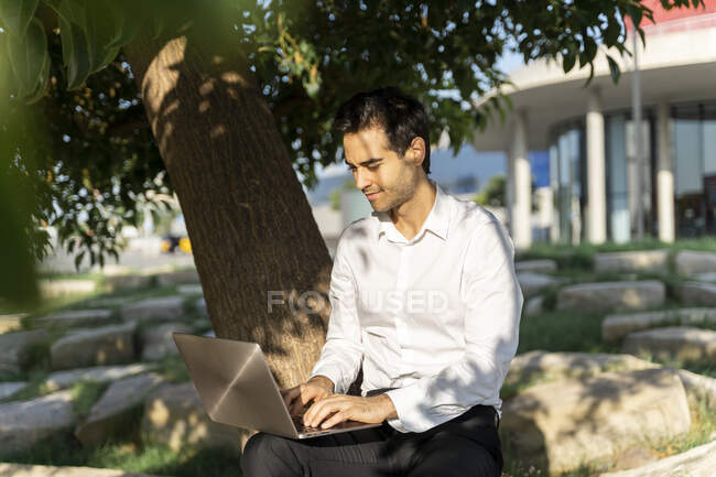 Geschäftsmann arbeitet am Laptop, während er im Park am Baum sitzt — Stockfoto