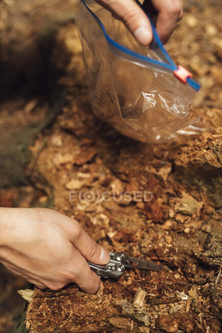 Close-up de mãos biólogas masculinas colhendo amostras de sujeira na floresta — Fotografia de Stock