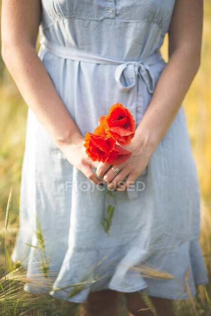 Jovem mulher segurando flor de papoula enquanto está em pé no campo agrícola — Fotografia de Stock