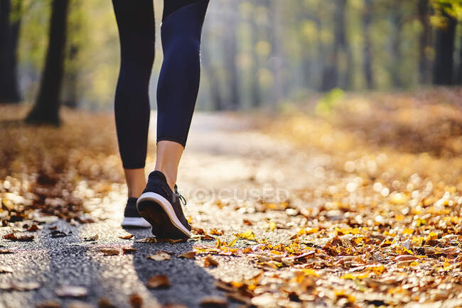 Mujer joven corriendo en el bosque de otoño - foto de stock
