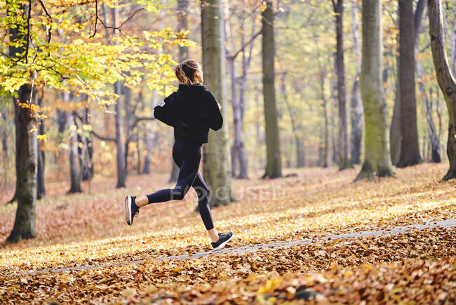 Молода жінка біжить осіннім лісом. — стокове фото