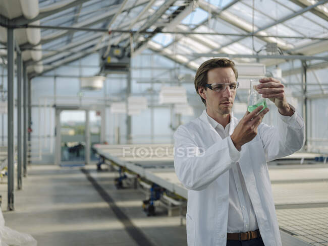 Scienziato che esamina il liquido in una serra — Foto stock